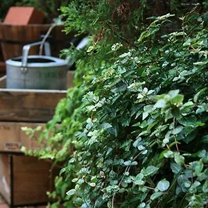 Отель Garden ***