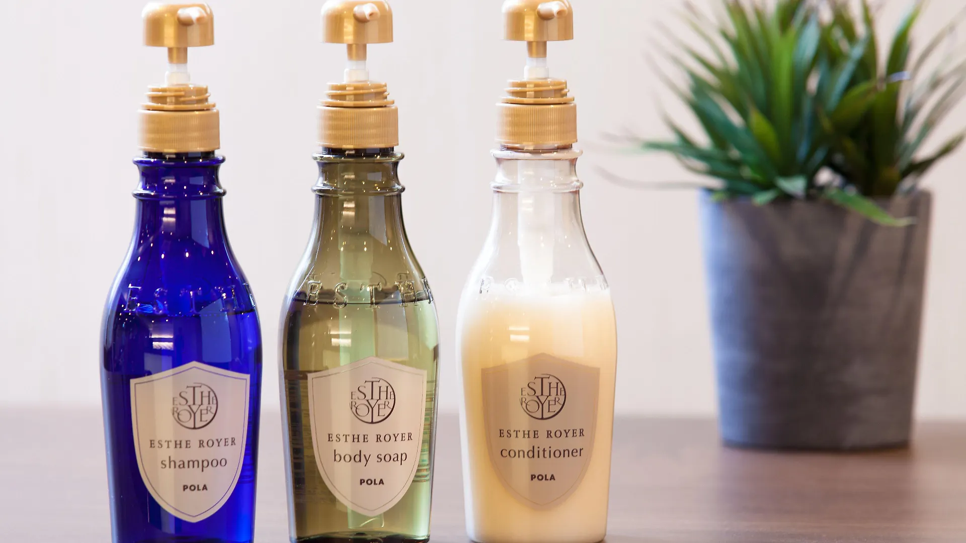 فندق Mystays Premier Akasaka طوكيو