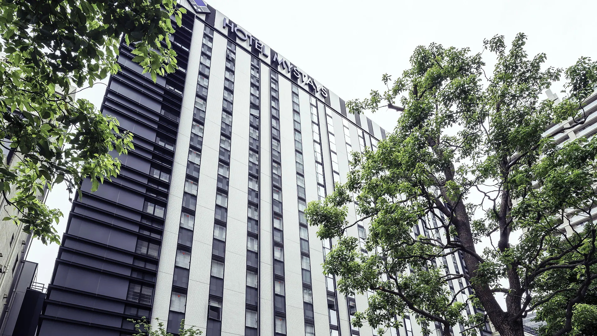 فندق Mystays Premier Akasaka طوكيو اليابان