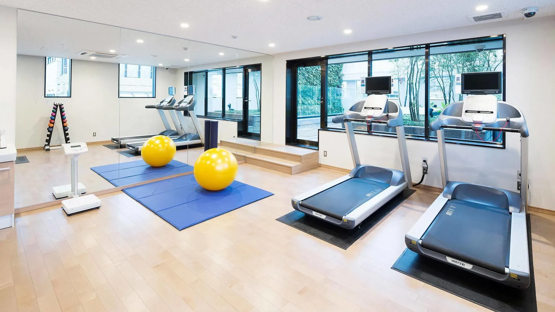 ****  Hotel Mystays Premier Akasaka Токио Япония